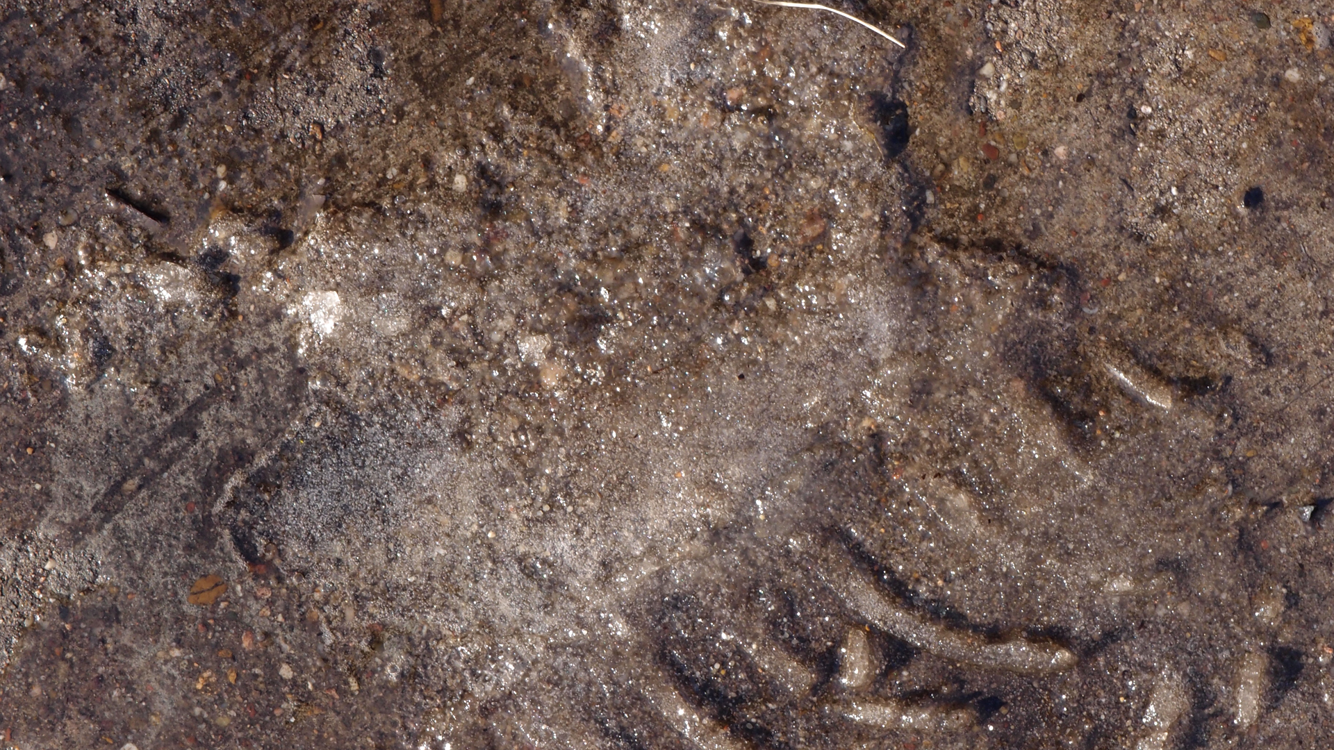 2021-01-30 Wasser in der Sp�le II, On-Off (Remix John Cage 'Sonatas & Interludes') (Komposition, Remix, Recording, Foto)